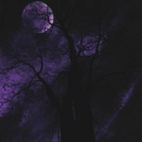 Immerens cover art